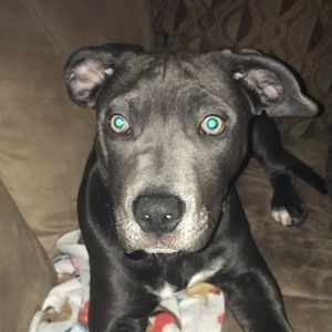 Meet your Posher, Jade